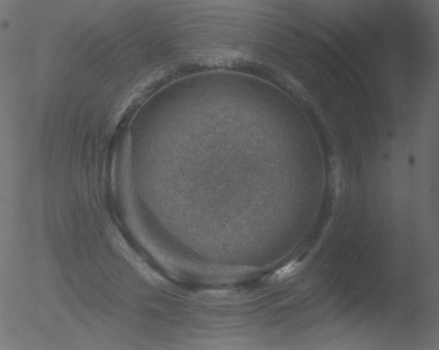 X0000052570589200507011223