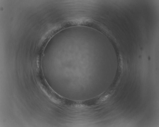 X0000052570590200507011223