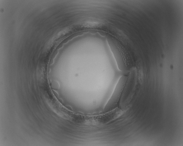 X0000052570591200507011223