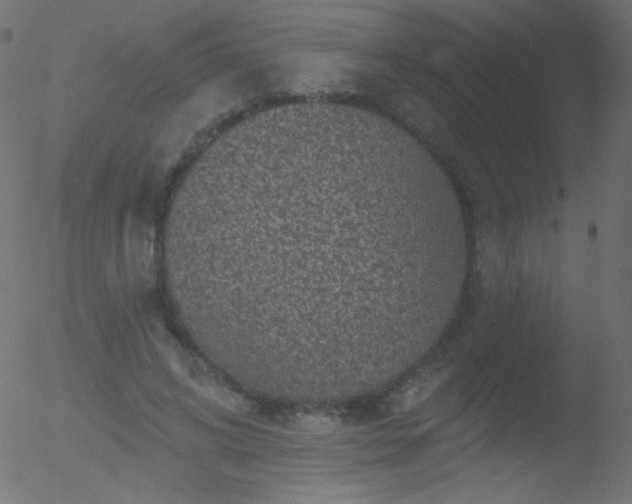 X0000052570592200507011223