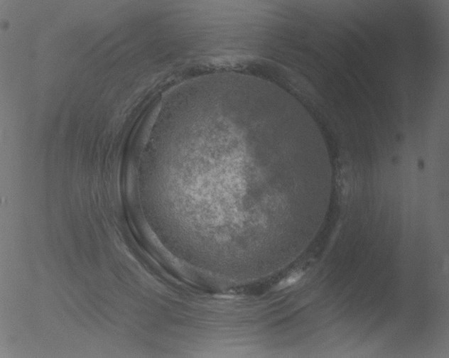 X0000052570593200507011223