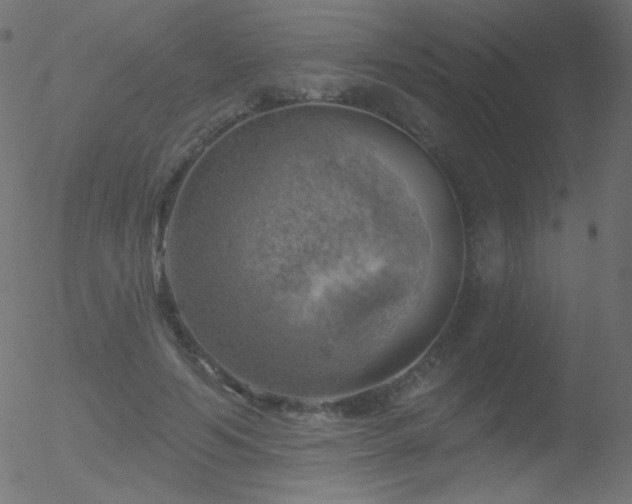 X0000052570594200507011223