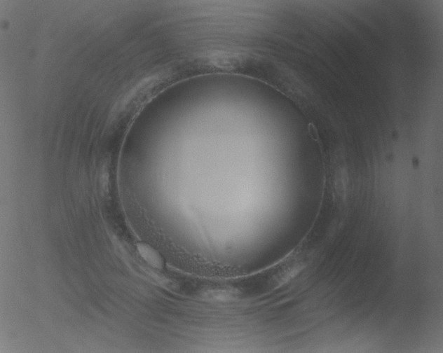 X0000052570595200507011223