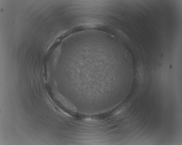 X0000052570596200507011223