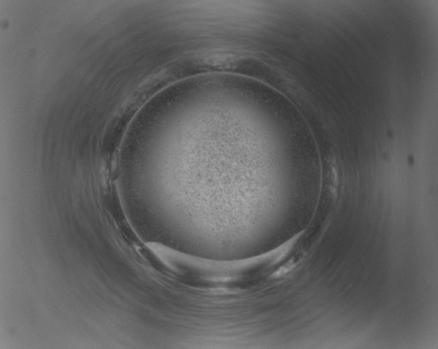 X0000052570597200507011223