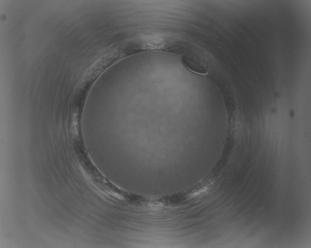 X0000052570598200507011223