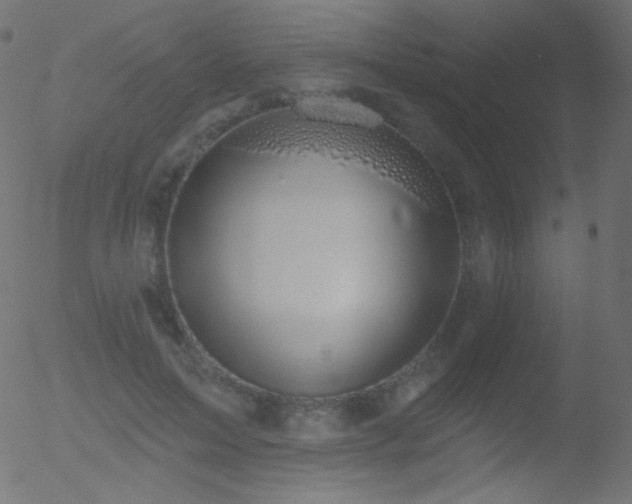 X0000052570599200507011223