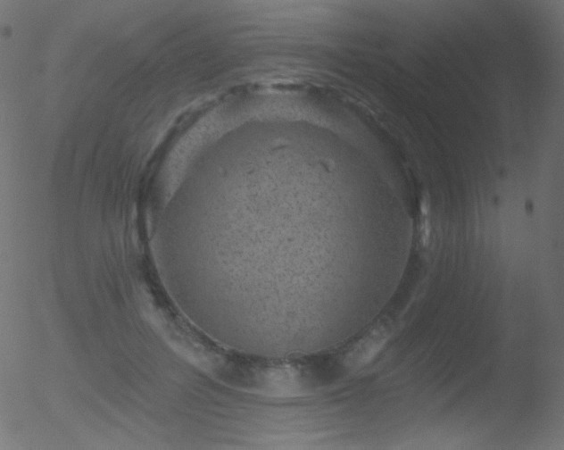 X0000052570600200507011223