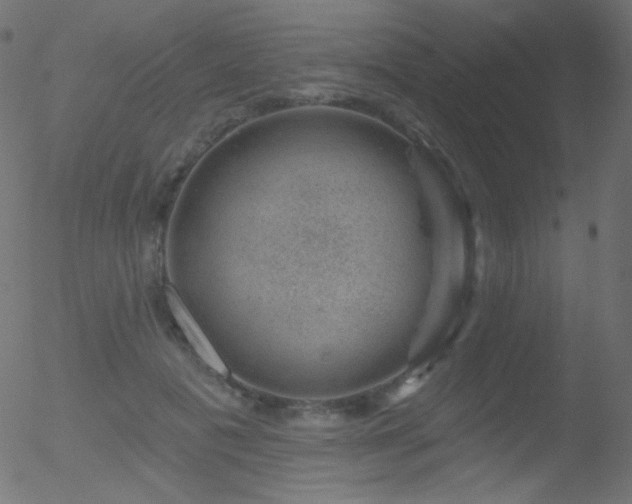 X0000052570601200507011222