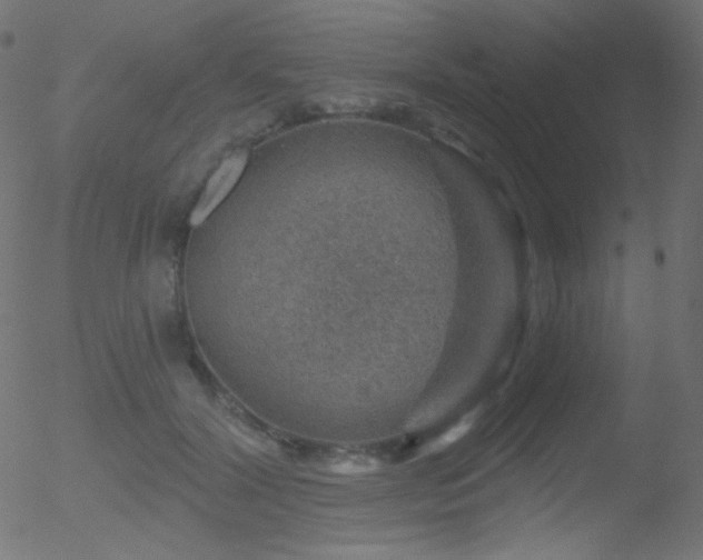 X0000052570604200507011222