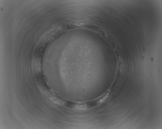 X0000052570606200507011222