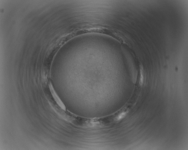 X0000052570607200507011222