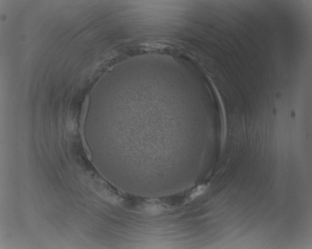 X0000052570608200507011222