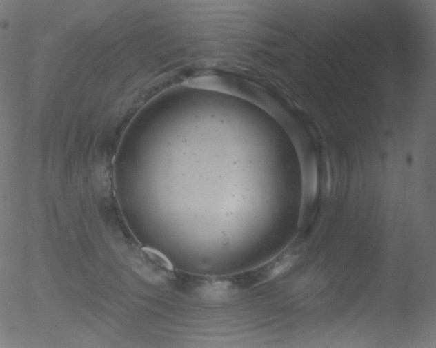 X0000052570609200507011222