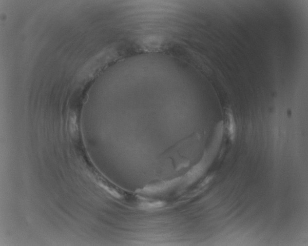 X0000052570610200507011222