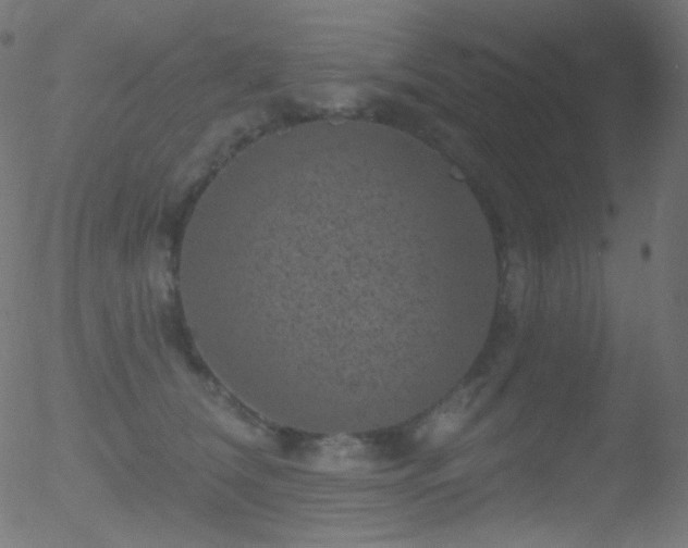 X0000052570612200507011222