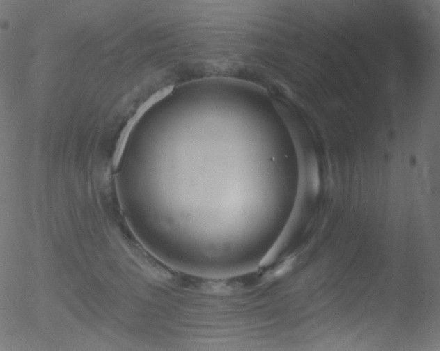 X0000052570613200507011222