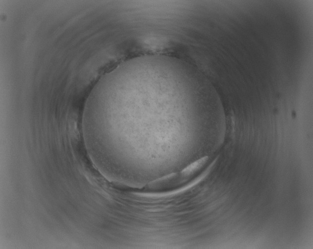 X0000052570615200507011222