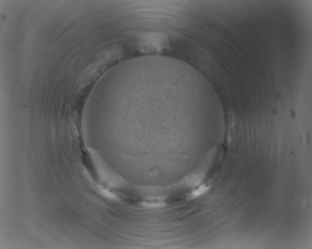 X0000052570616200507011222