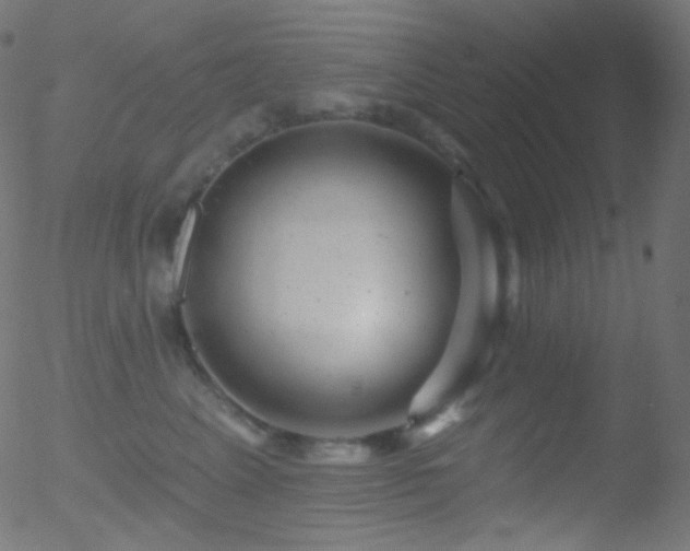 X0000052570617200507011222