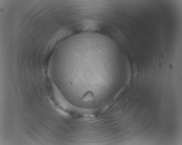 X0000052570619200507011222