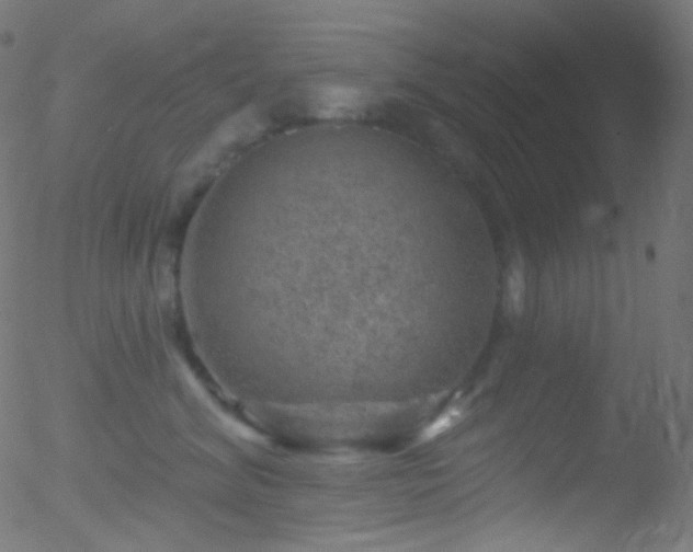 X0000052570620200507011222