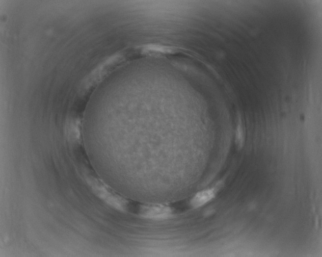 X0000052570621200507011222