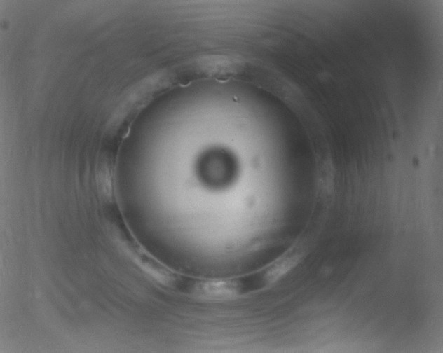 X0000052570622200507011222