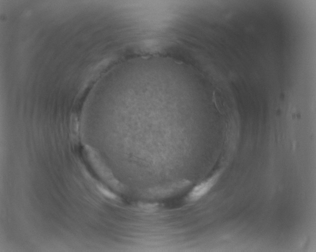 X0000052570624200507011222