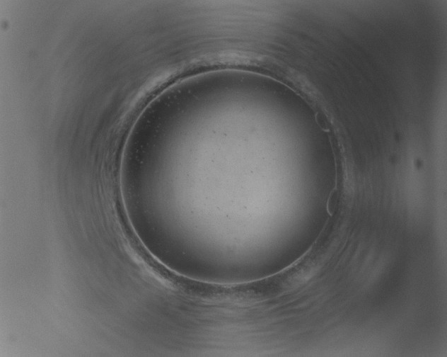 X0000052570625200507011221