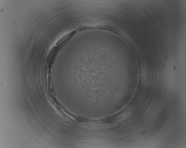 X0000052570626200507011221