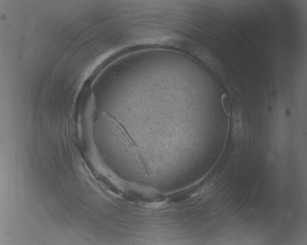 X0000052570628200507011221