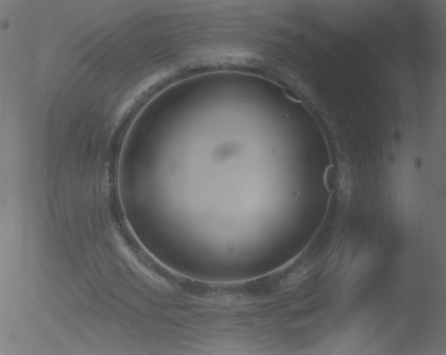 X0000052570629200507011221