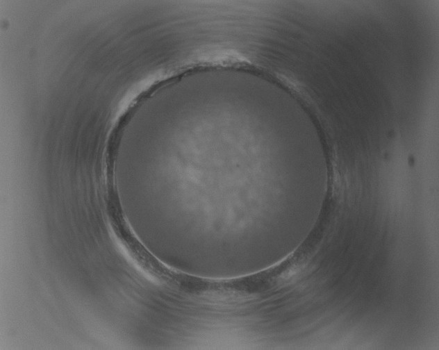 X0000052570630200507011221