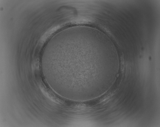 X0000052570631200507011221