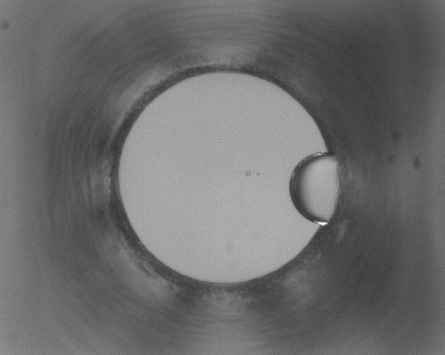 X0000052570632200507011221