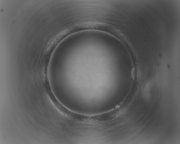 X0000052570633200507011221