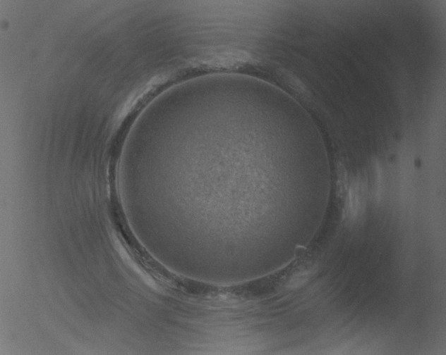 X0000052570634200507011221