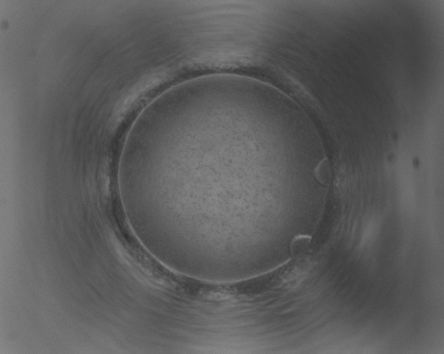 X0000052570635200507011221