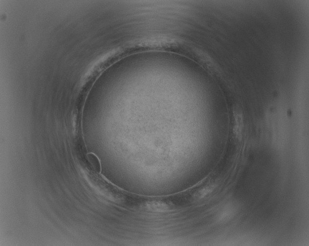 X0000052570636200507011222