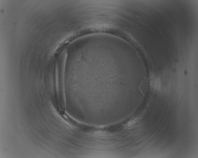 X0000052570637200507011222