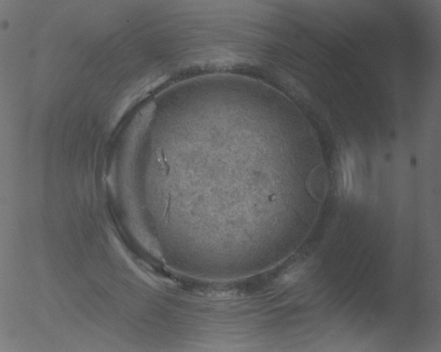 X0000052570638200507011222