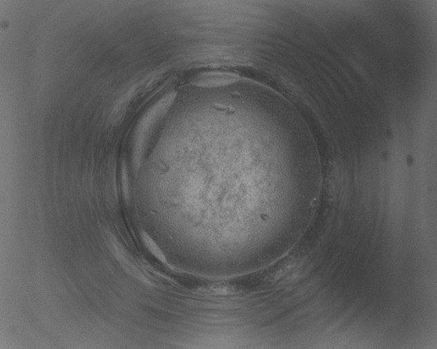 X0000052570639200507011222