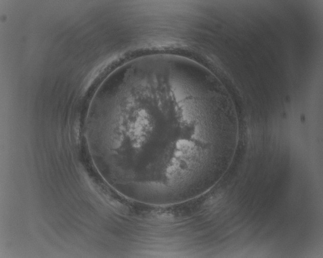 X0000052570640200507011222