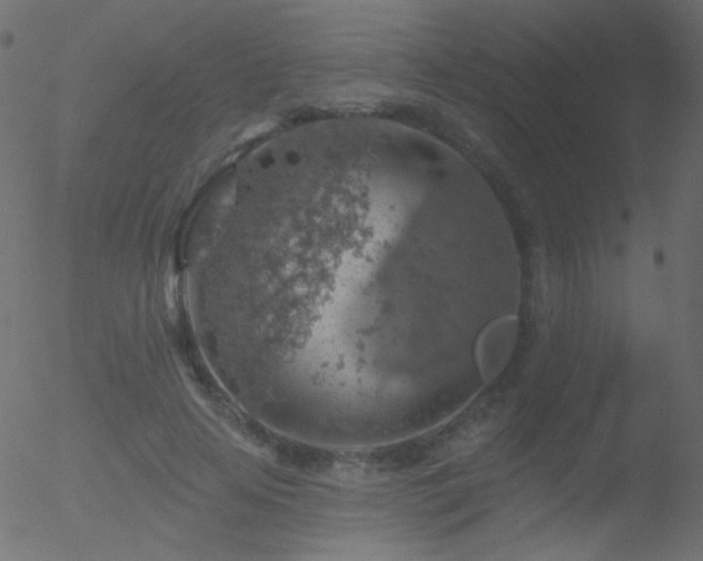 X0000052570641200507011222