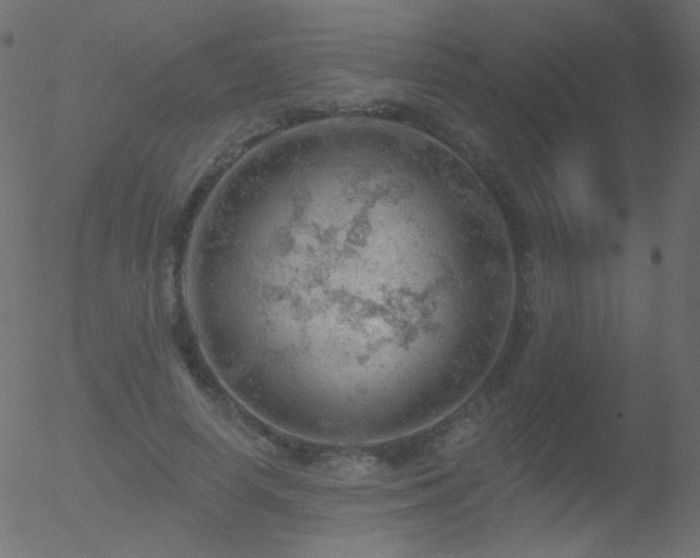 X0000052570642200507011222