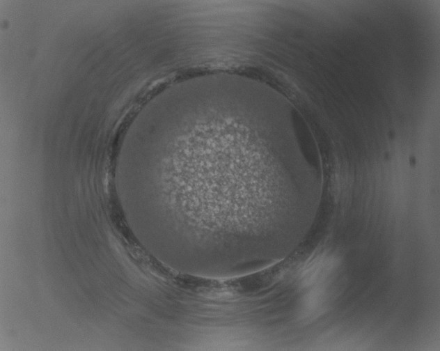 X0000052570643200507011222