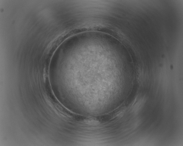 X0000052570644200507011222