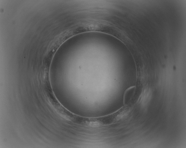 X0000052570645200507011222