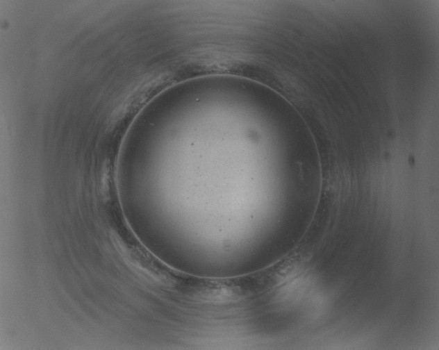 X0000052570646200507011222